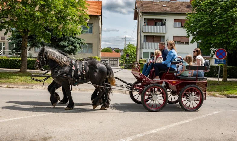 "Am Crezut Că Este Cadoul Perfect pentru Soacra Mea, Dar S-a Întors Împotriva Mea"